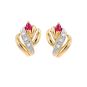 Boucles d'oreilles or bicolore rubis et diamant(s)