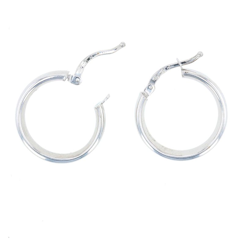 Earrings white gold 2.80g