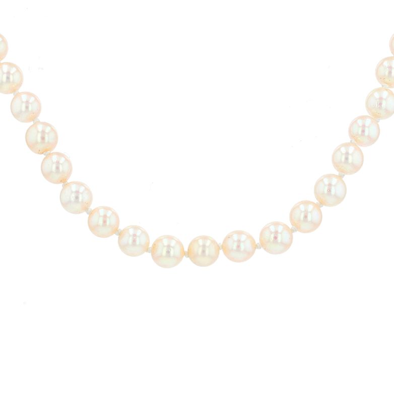 Coker necklace or blanc 30.83g