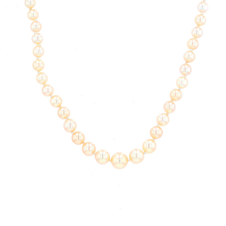 Necklace of cultured pearls...