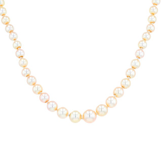 Necklace of pearls in...