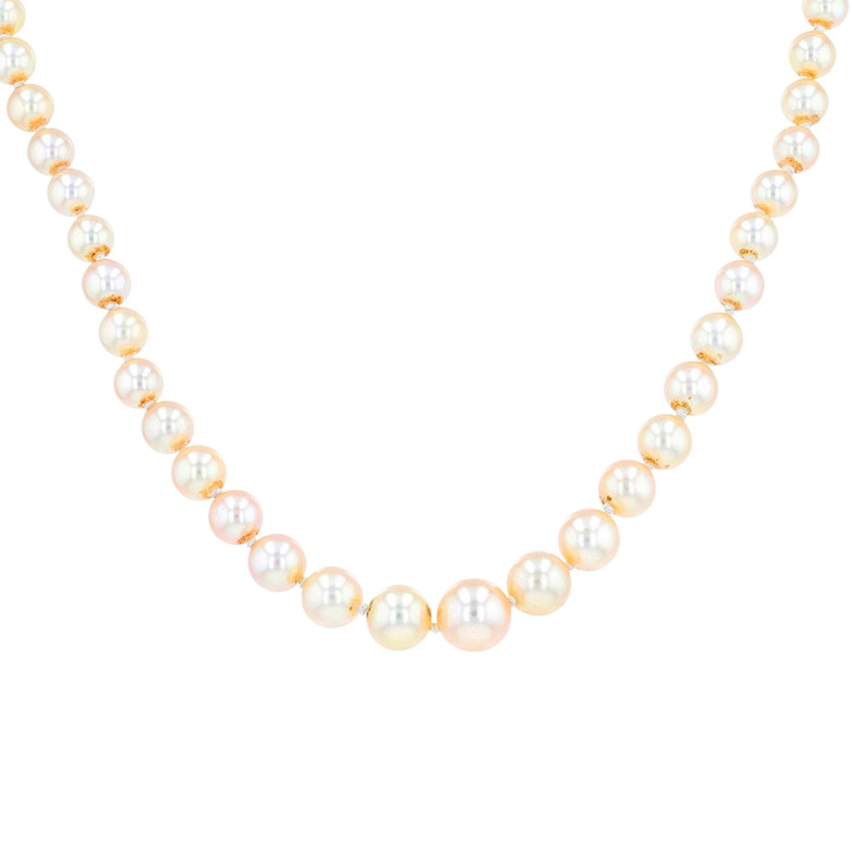 Necklace of pearls in...