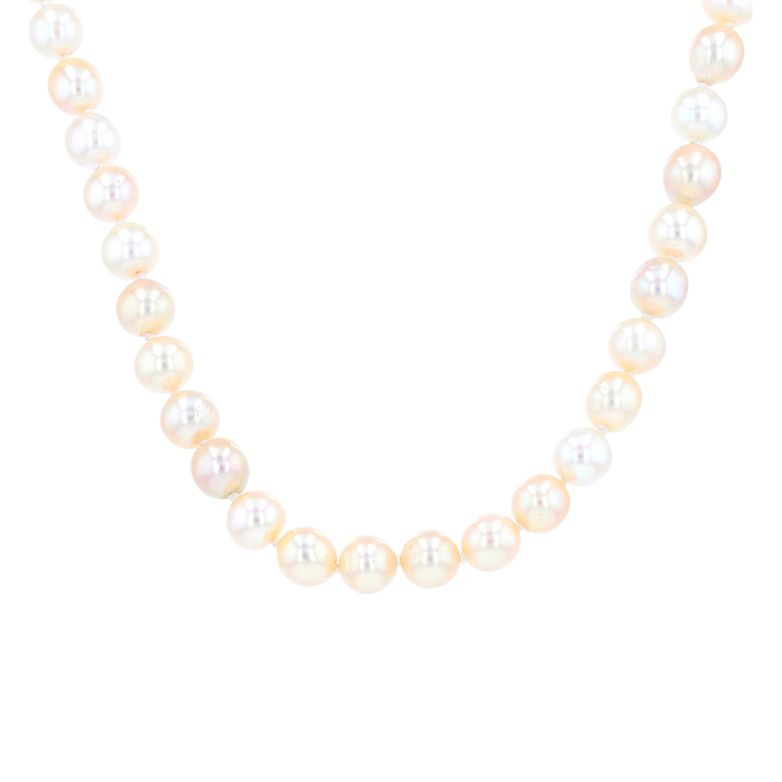 Pearl necklace choker...
