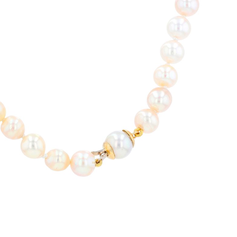 Pearl necklace choker...