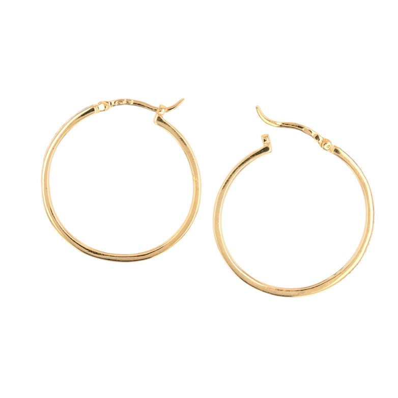 Creole earrings diamonds...