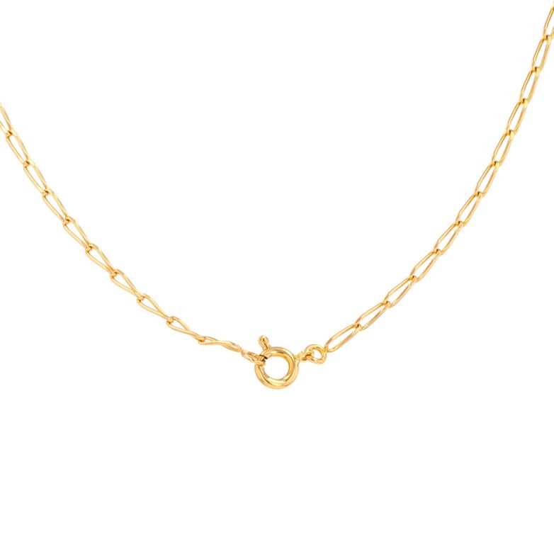 Yellow gold horse chain 5.40g