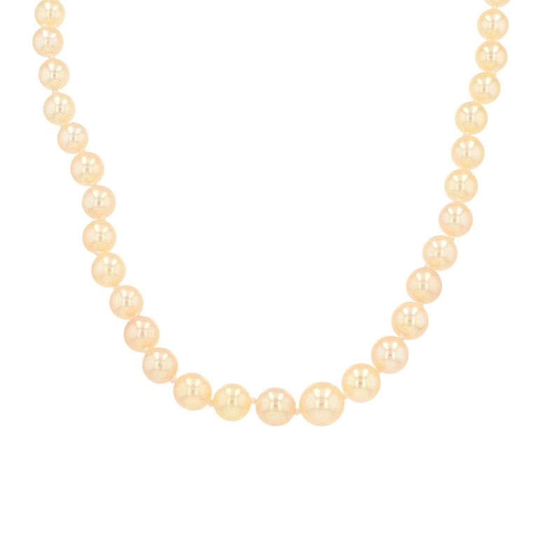Necklace of pearls in...