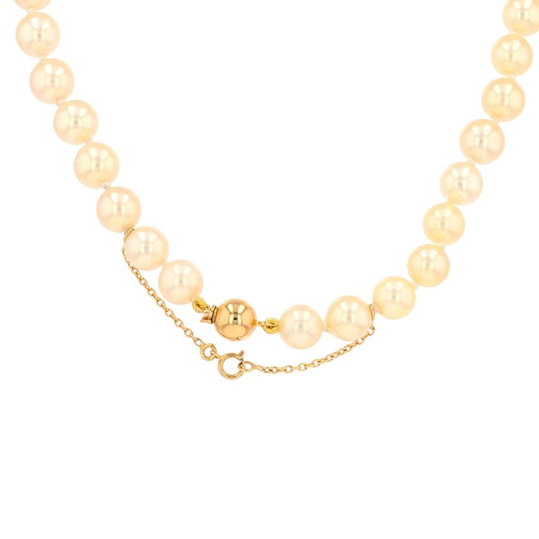Necklace vintage choker...