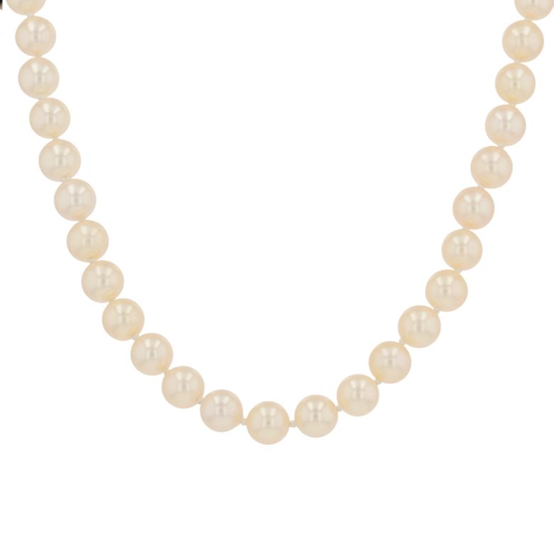 Necklace vintage choker...