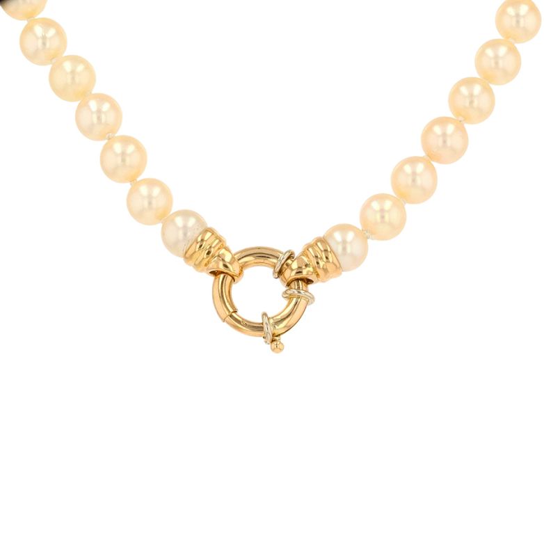 Necklace vintage choker...