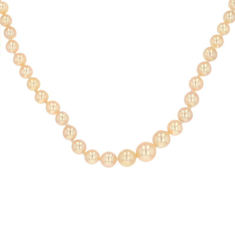 Necklace of pearls in white...
