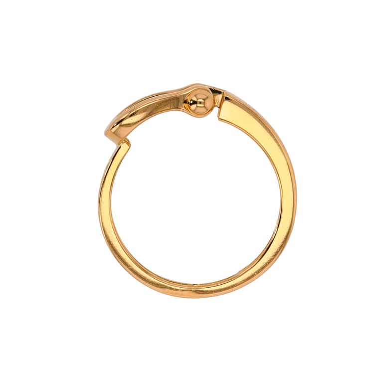 FRED Force 10 Ring with 10...
