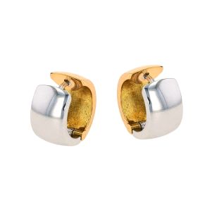 Two-Tone Gold Earrings, 6.89 g